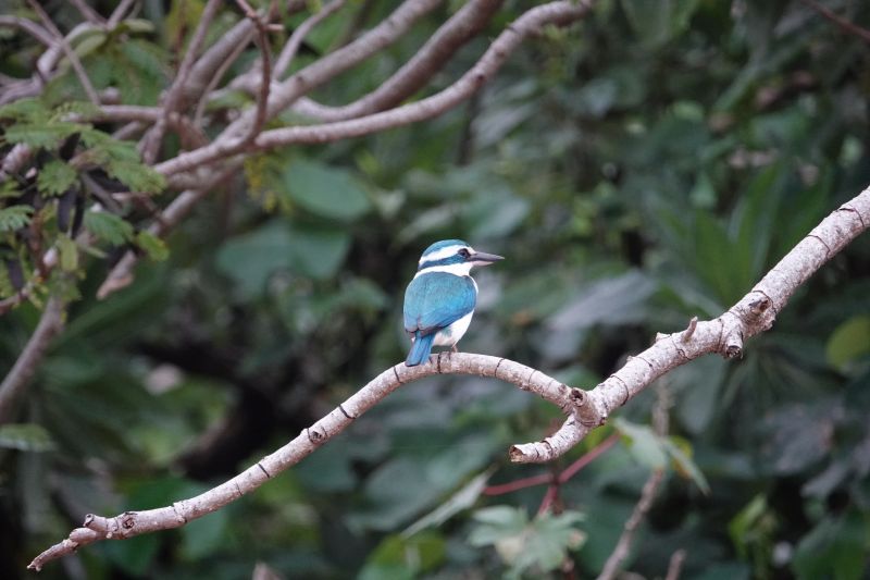 Viewing photos→2018→2018-09-04-2→021