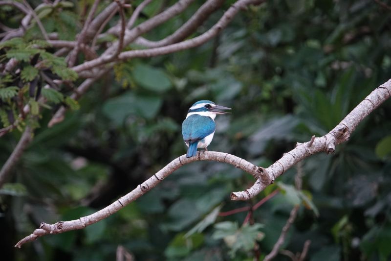 Viewing photos→2018→2018-09-04-2→022