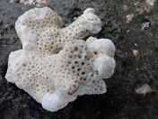 023.jpg - 2018:09:06 04:34:45