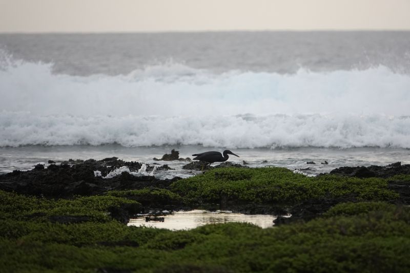 Viewing photos→2018→2018-09-04-2→025