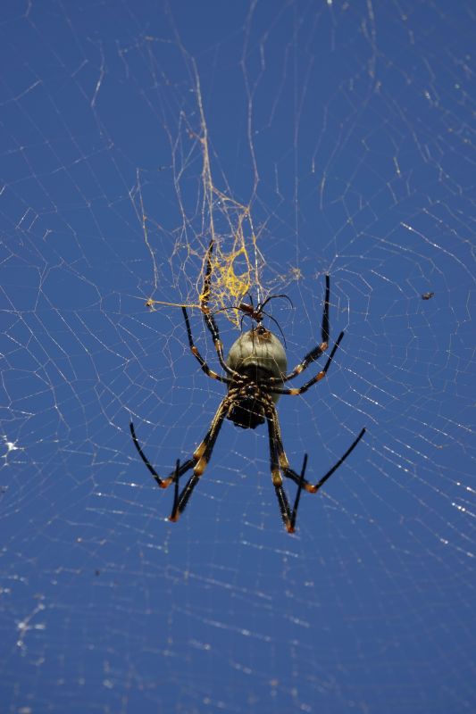 Viewing photos→2018→2018-09-04-2→027