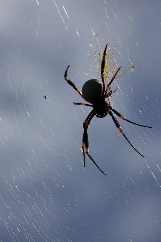 Viewing photos→2018→2018-09-04-2→028