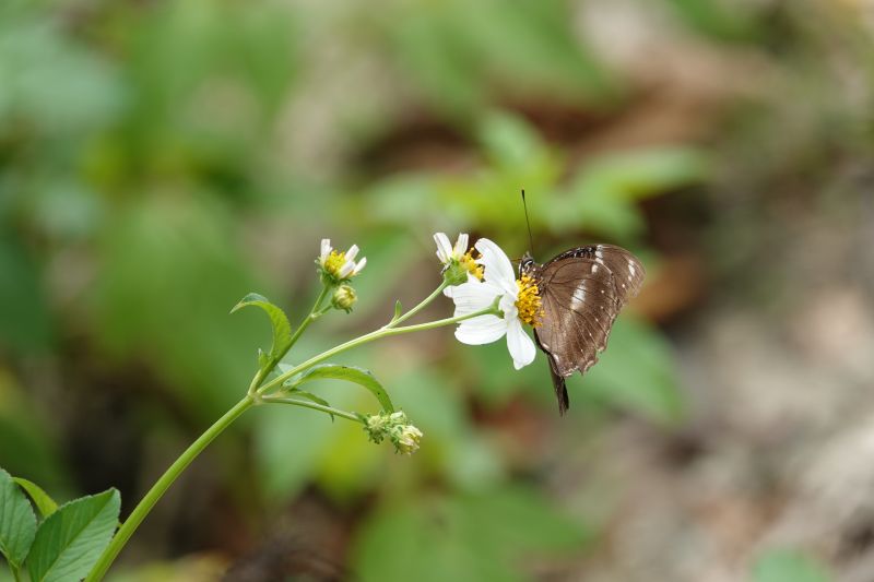 Viewing photos→2018→2018-09-04-2→031