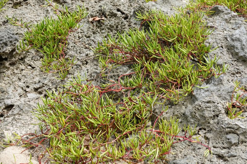 Viewing photos→2018→2018-09-04-2→033