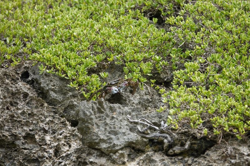 Viewing photos→2018→2018-09-04-2→035