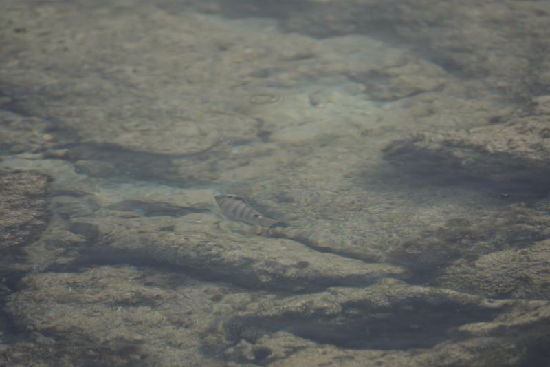 Viewing photos→2018→2018-09-04-2→036