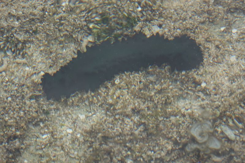 Viewing photos→2018→2018-09-04-2→040