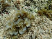 041.jpg - 2018:09:06 23:16:05