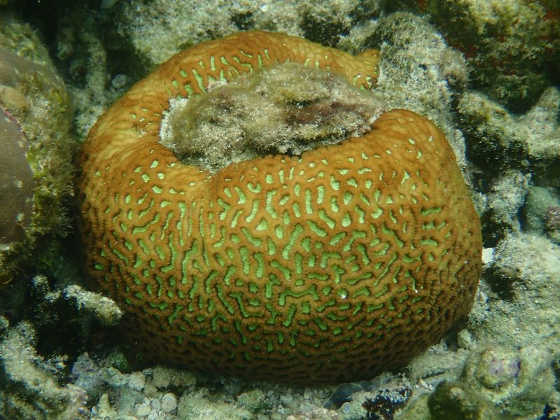 Viewing photos→2018→2018-09-04-2→043