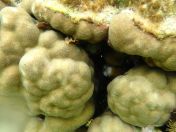 044.jpg - 2018:09:06 23:18:21