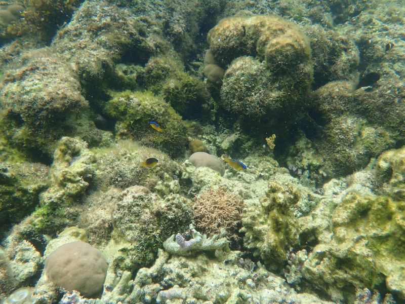 Viewing photos→2018→2018-09-04-2→045