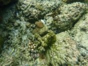 046.jpg - 2018:09:06 23:19:14