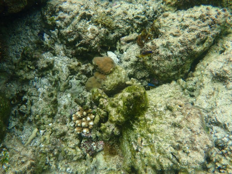 Viewing photos→2018→2018-09-04-2→046