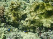 047.jpg - 2018:09:06 23:20:06