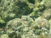 048.jpg - 2018:09:06 23:20:46