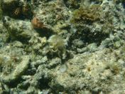 049.jpg - 2018:09:06 23:20:49