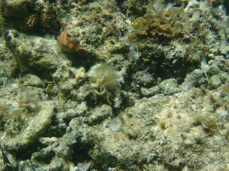 Viewing photos→2018→2018-09-04-2→049