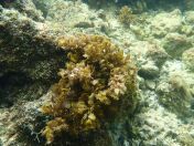 050.jpg - 2018:09:06 23:20:57