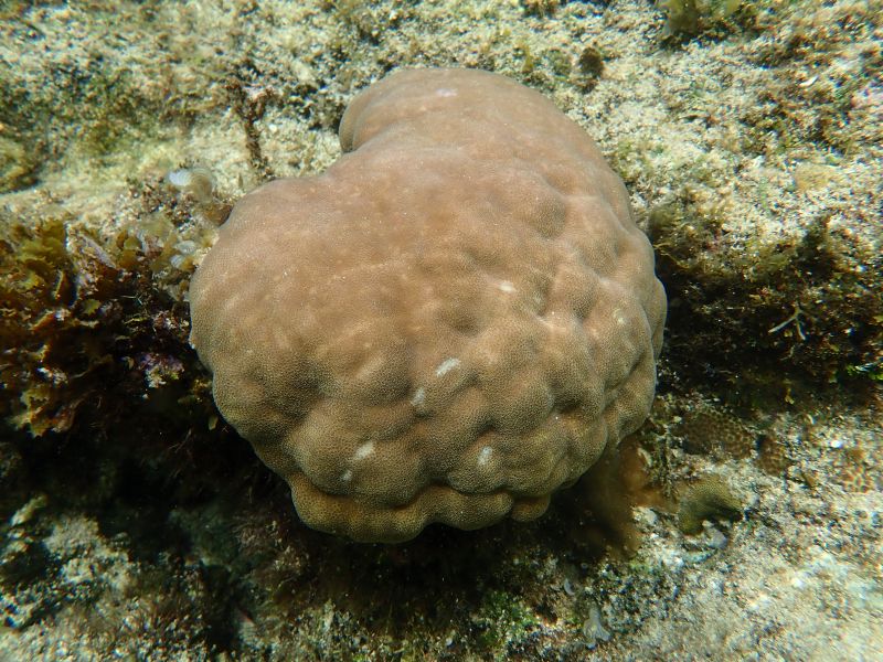 Viewing photos→2018→2018-09-04-2→051