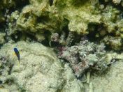 052.jpg - 2018:09:06 23:22:08