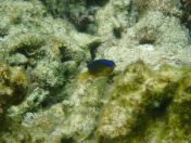 053.jpg - 2018:09:06 23:22:27