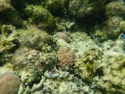 054.jpg - 2018:09:06 23:22:49