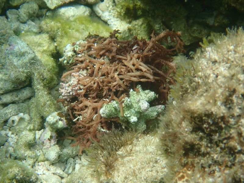 Viewing photos→2018→2018-09-04-2→055