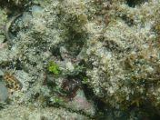 057.jpg - 2018:09:06 23:24:40