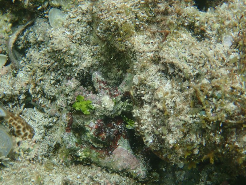 Viewing photos→2018→2018-09-04-2→057