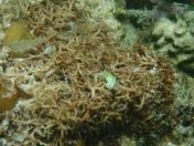 058.jpg - 2018:09:06 23:25:11