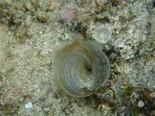 059.jpg - 2018:09:06 23:25:27