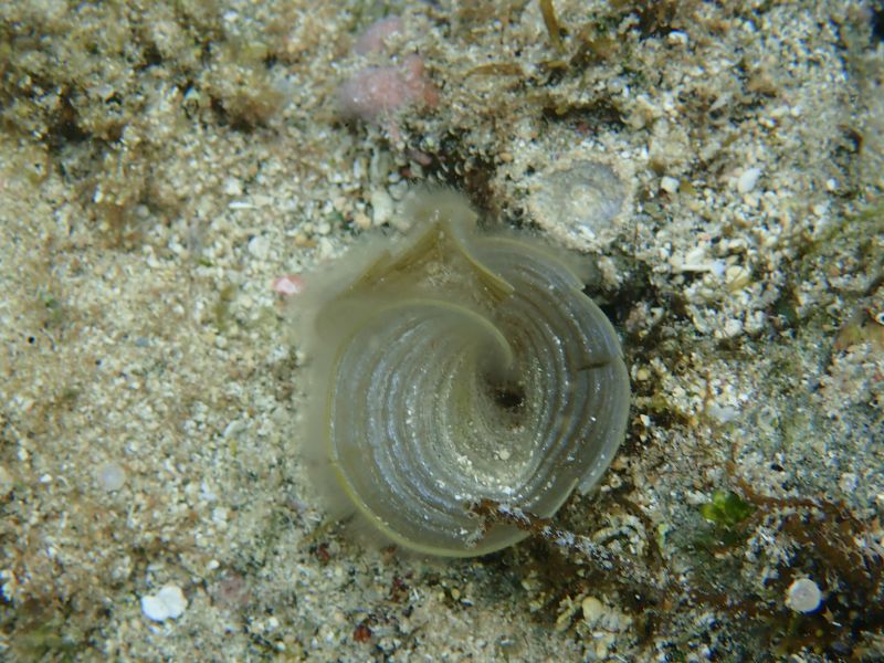 Viewing photos→2018→2018-09-04-2→059