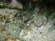 060.jpg - 2018:09:06 23:25:30