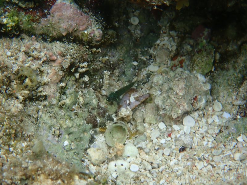 Viewing photos→2018→2018-09-04-2→060