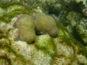 061.jpg - 2018:09:06 23:26:53