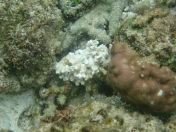 062.jpg - 2018:09:06 23:27:07