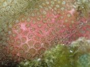 063.jpg - 2018:09:06 23:28:27