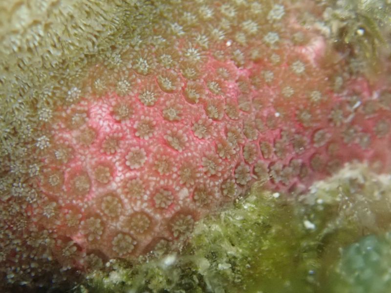 Viewing photos→2018→2018-09-04-2→063