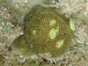 065.jpg - 2018:09:06 23:31:23