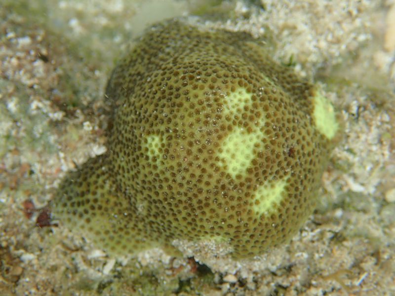 Viewing photos→2018→2018-09-04-2→065