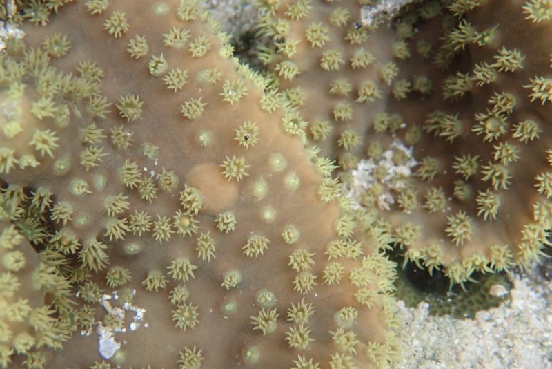 Viewing photos→2018→2018-09-04-2→066