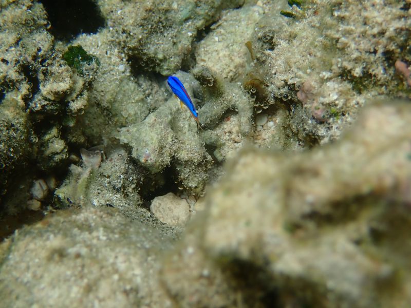 Viewing photos→2018→2018-09-04-2→070