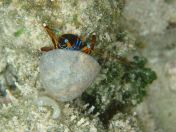 072.jpg - 2018:09:06 23:37:31