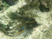 073.jpg - 2018:09:06 23:38:17