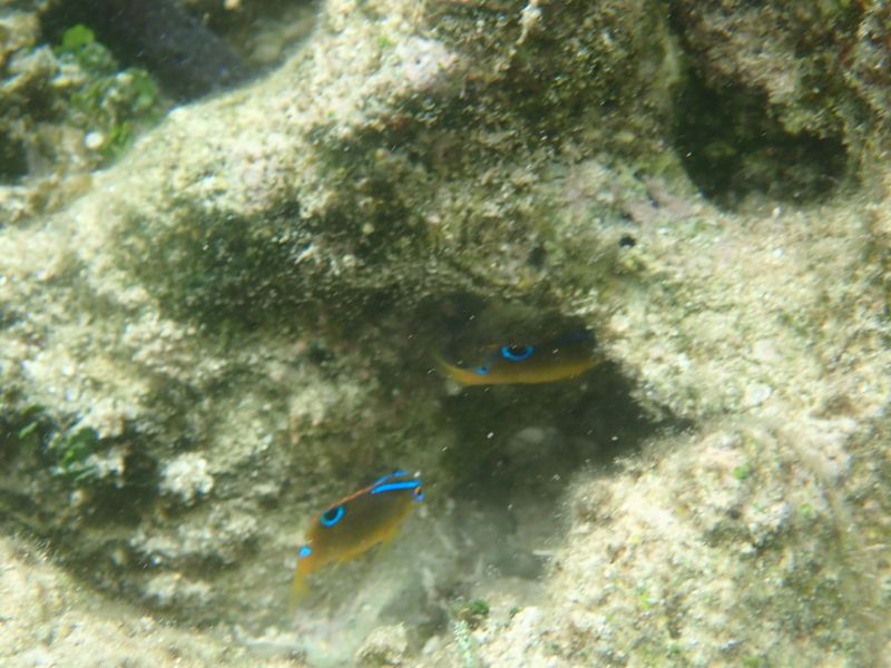 Viewing photos→2018→2018-09-04-2→073