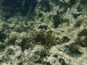 074.jpg - 2018:09:06 23:38:47