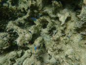 075.jpg - 2018:09:06 23:39:16