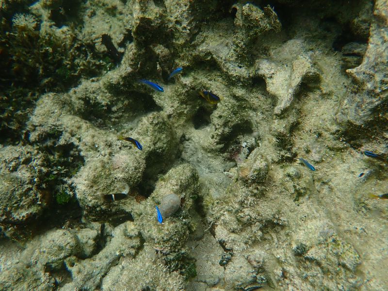 Viewing photos→2018→2018-09-04-2→075