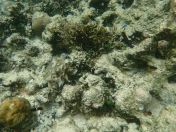 076.jpg - 2018:09:06 23:39:27