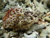 078.jpg - 2018:09:06 23:44:50